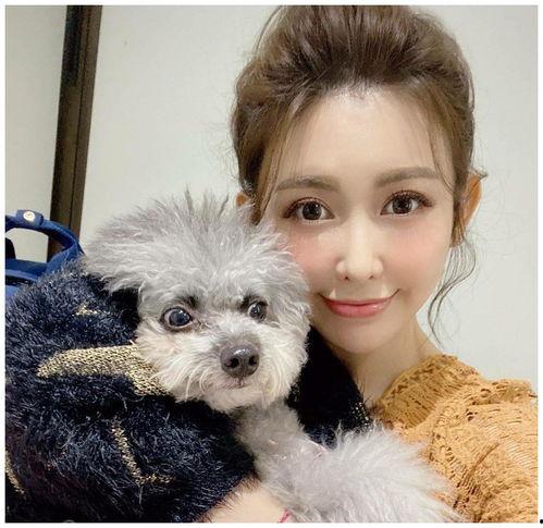 最新台媒爆料小猪,事件持续发酵